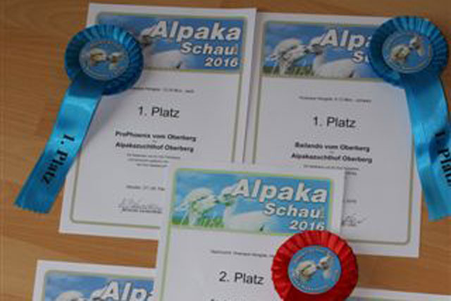 Ilshofen 2016 – Reserve-Nachzuchtsieger