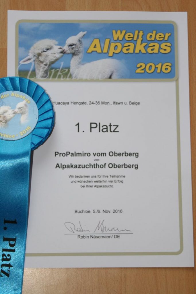 Urkunde und Schleife: 1. Platz Buchloe 2016