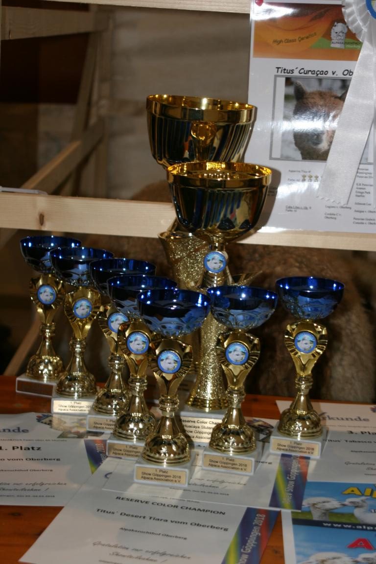 Göppingen 2018 – Topergebnisse