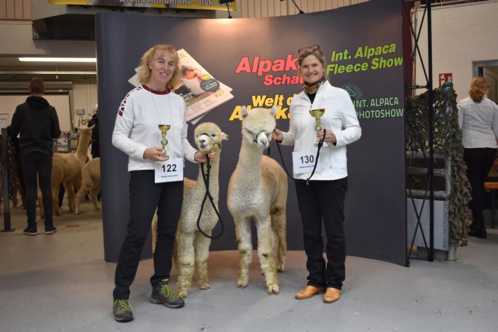 Spike, Alpaka vom Alpakazuchthof Oberberg