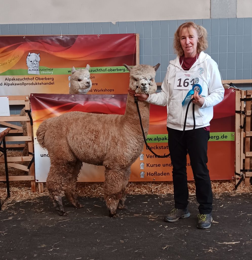U Hit the Spot bei der World Alpaca Conference 2025