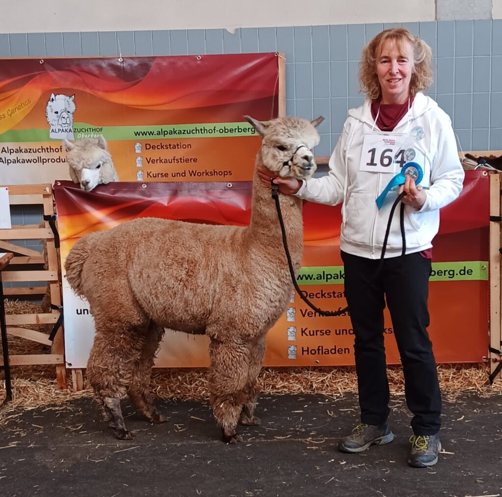 U Hit the Spot vom Oberberg, Color-Champion Appaloosa-Hengste