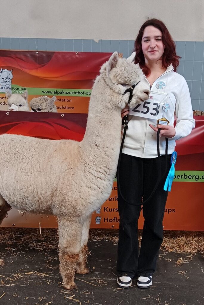 Titus´ Te Quierro vom Oberberg - Champion-Senior-Hengste weiß
