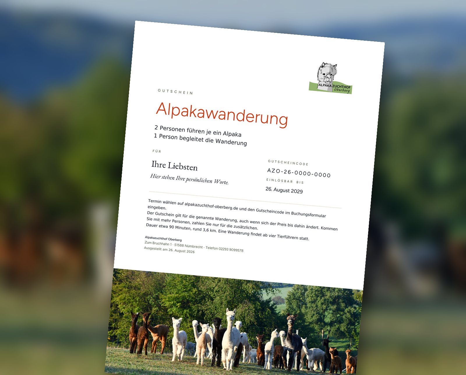 Gutschein für eine Alpakawanderung vom Alpakazuchthof Oberberg